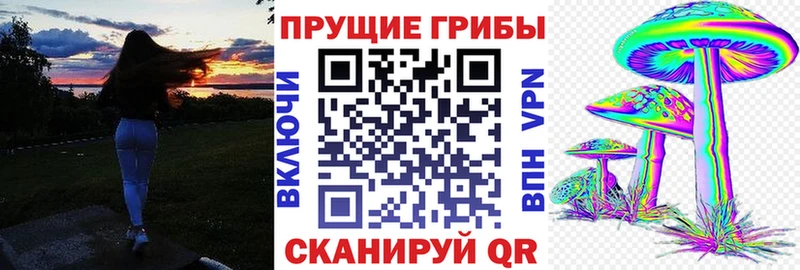 наркошоп  Уссурийск  Псилоцибиновые грибы мицелий 